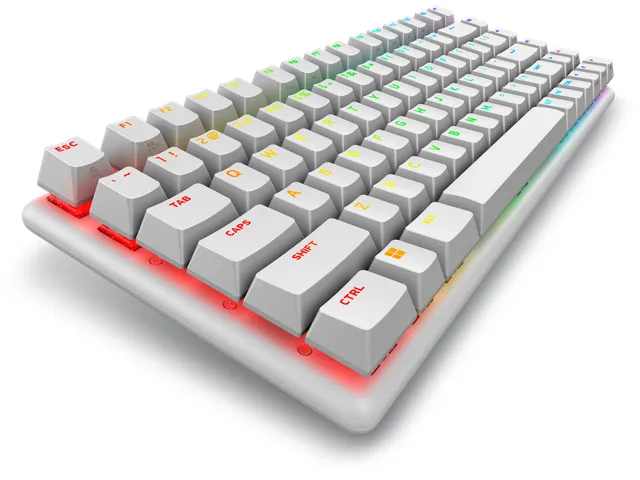 2.4GHz, Bluetooth 5.1, Mechanical Switches, RGB, 819.73g, Lunar Light