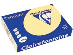 Trophée Pastel gekleurd papier A4 160 gram 250vel Kanariegeel
