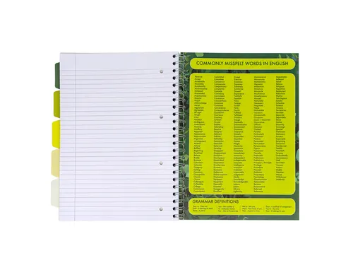 Projectboek Pukka Pad Recycled A4 lijn 5-tabs 4-gaats 200 pagina's 80g