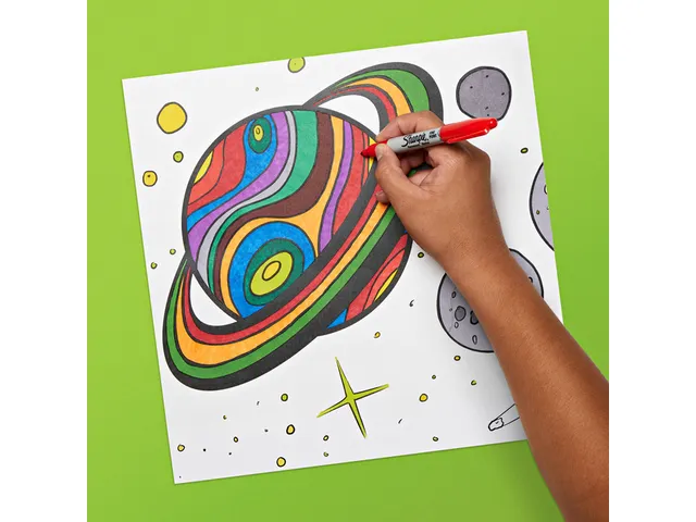 Marqueur permanent Sharpie Fin blister 12 couleurs assorties