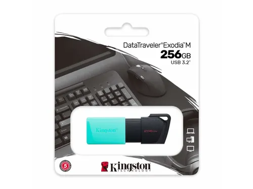Kingston Technology DataTraveler Exodia M USB Stick 256GB