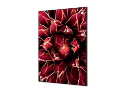 Wanddecoratie Textiel Set A1 Cactus Rood