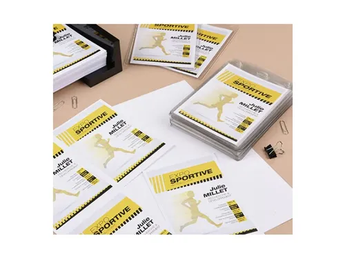 Avery 4834 Badgehouder lanyard set 105x148mm 10 stuks+12 kaarten