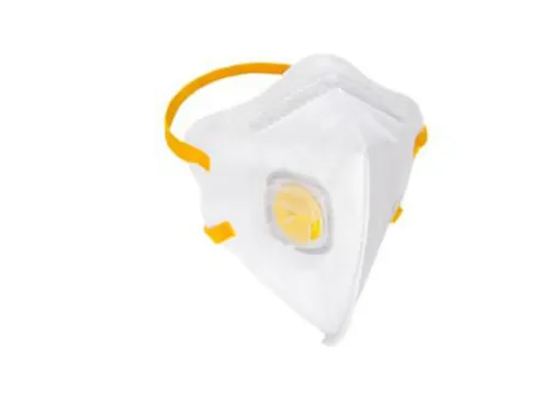 Bx15 Rsg 202435 Dust Mask Ffp3