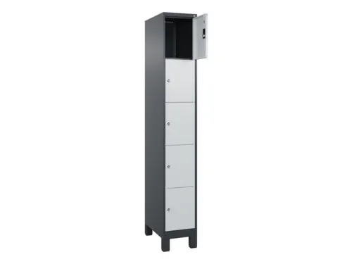 lockerkast,HxBxD 1950x300x500mm,1x5vakken,vak B 300mm,cil.-slot,voeten
