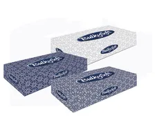 BulkySoft Facial tissue cellulose 2-laags wit