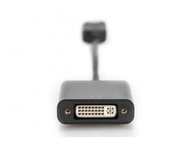 DisplayPort-adapterkabel type DP DVI (24+5) mannelijk/vrouwelijk 0,15m