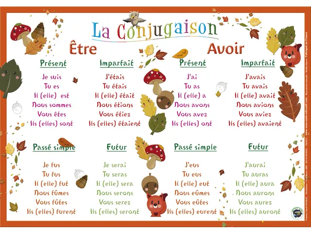 Sous-Mains Conjugaison FR42 x 30 cm