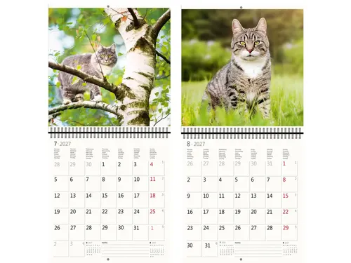 Kalender 2027 Helma 365 30x30cm katten