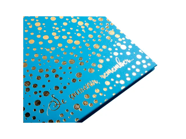 Alb livre 30p blc 25 x25cm Plum turquoise