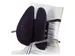 Rugsteun Kensington smartfit zwart