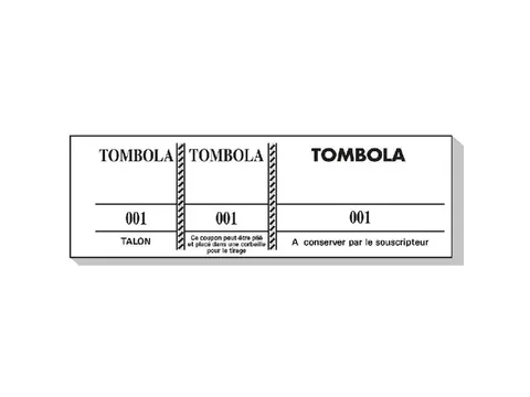 Tombola 3 Part 4.5x1 5 100 Sheets Ast