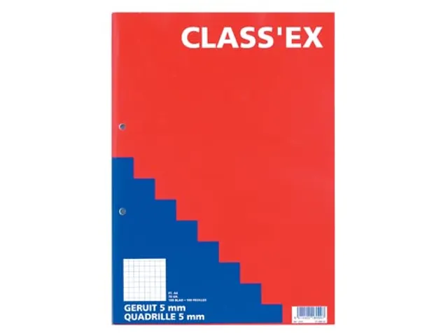 Cursusblok A4 70 Gram Geruit 5mm 100 Vel