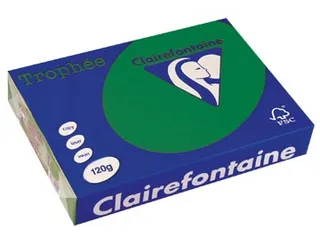 Trophée Intens Gekleurd Papier A4 120 gram 250vel Dennengroen - 2