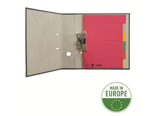 Tabbladen Leitz 4-gaats 4350 6-delig grijs karton