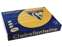 Trophée Pastel gekleurd papier A3 80 gram 500 vel goudgeel