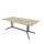 vergadertafel,HxBxD 740x2100x1000mm,rechthoekig