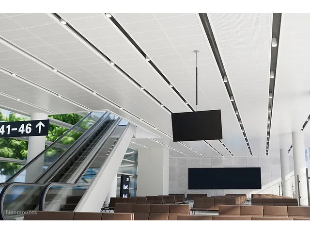 Neomounts NS-EP100BLACK Extension pour support plafond écran h107.5 c