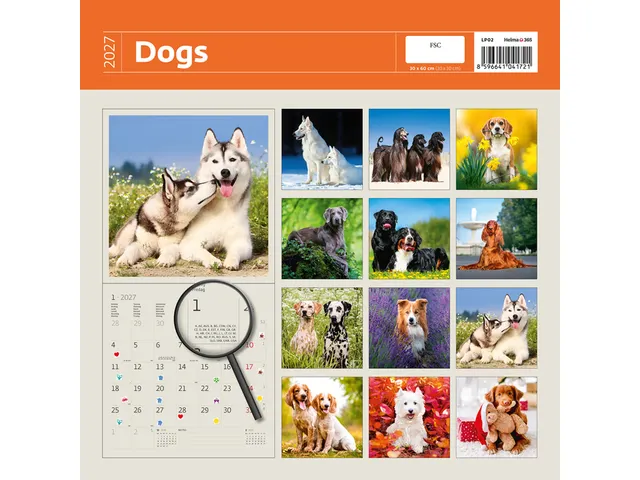 Kalender 2027 Helma 365 30x30cm honden
