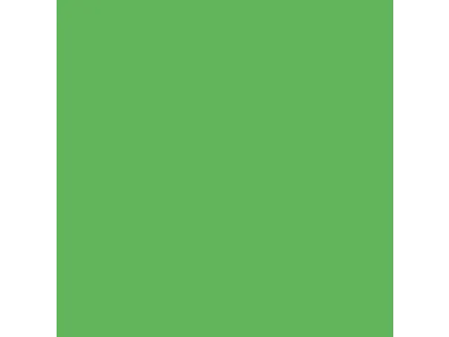 Inapa Tecno colors Gekleurd papier A4 Intens Groen 120 gram 250 vel