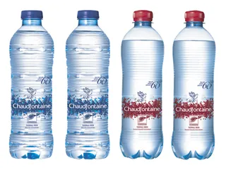 Water Chaudfontaine blauw petfles 500ml - 8