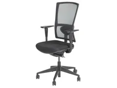 Schaffenburg Lumbaalsteun voor bureaustoel 300-NEN