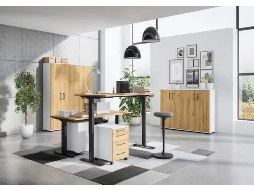 dossierkast,HxBxD 2000x800x400mm,4xinlegbodem,5ordnerhoogte,romp wit