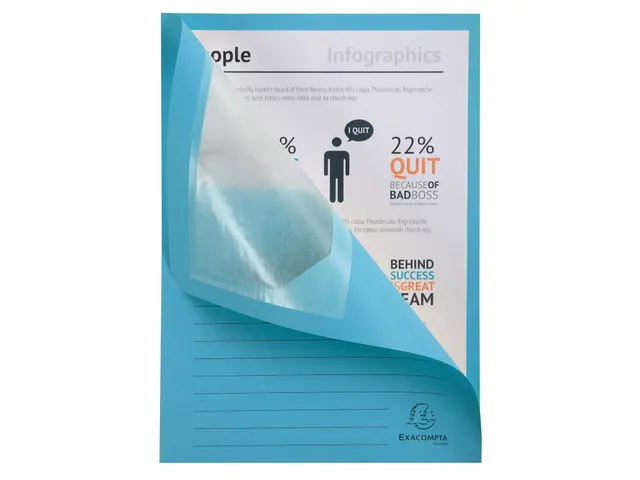 50 Venstermappen Forever 22x31cm Assorti