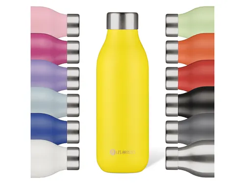 Thermosfles 2.0 Les Artistes Paris 500ml Rio