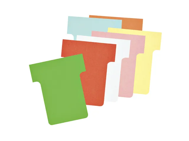 Fiche-T planning Nobo n°1.5 orange 36mm