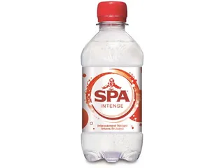 Water Intense Fles 33 Cl Pak 24 Stuks - 2