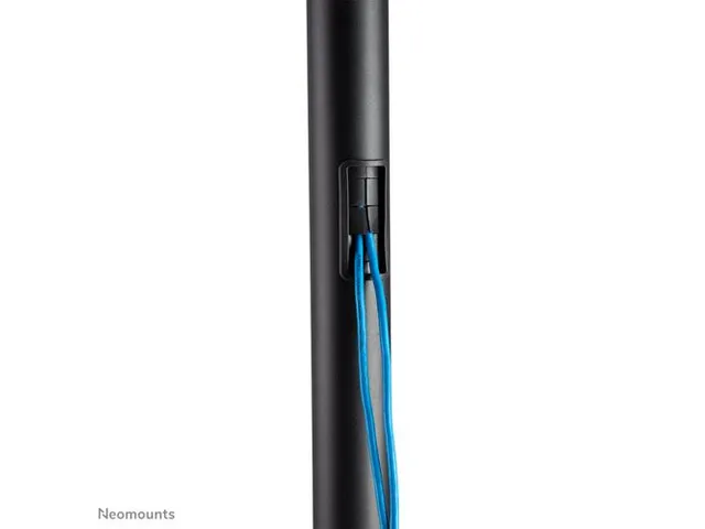 Mobiele Vloersteun voor 37-70 Inch Schermen FL50-540BL1