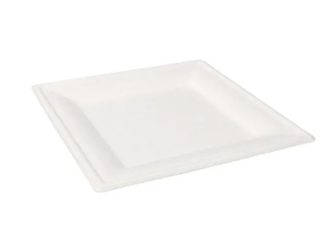 Bord Bagasse 1-vaks 26x26cm Wit doos 500 Stuks