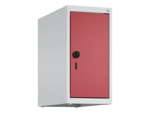 opzetkast,v. locker,1vak.,vak B 250mm,HxBxD 500x250x500mm,vleugeldeur