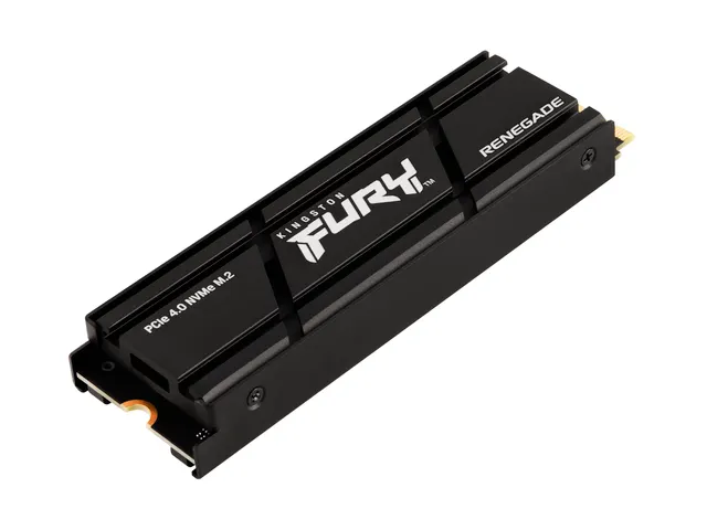 4000G RENEGADE PCIe 4.0 NVMe SSD MET HEATSINK