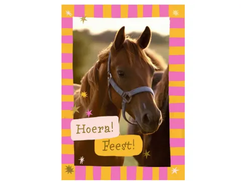 Wenskaart Hallmark uitnodiging paarden pak à 6 stuks