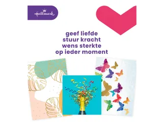 Wenskaart Hallmark Business Box zonder tekst navulset à 8 stuks - 2