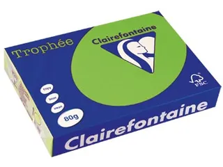 Trophée Intens gekleurd papier A4 80 gram 500vel Grasgroen - 2