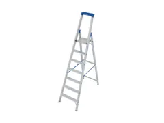 Ladder Aluminium Bordes H 1 65M 7Treden Incl. Bordes