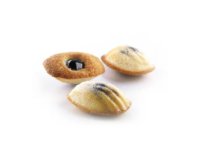 Silikomart Siliconen Bakmat Bakerynorm Madeleine SQ005