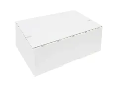 Postpakketbox IEZZY 2 200x140x80mm wit Voordeelbundel