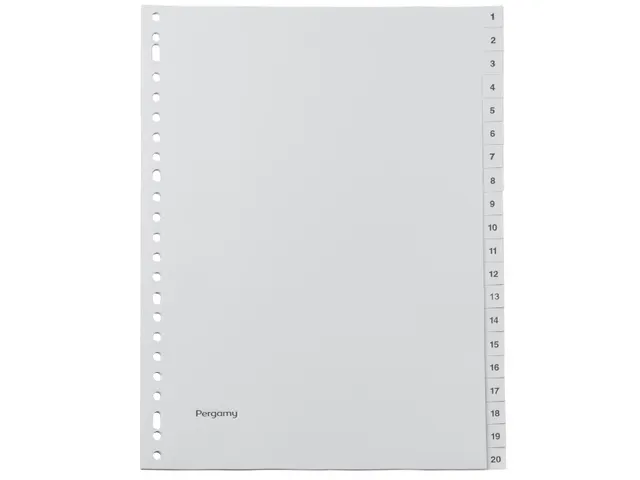 tabbladen, ft A4, 23-gaatsperforatie, grijze PP, set 1-20
