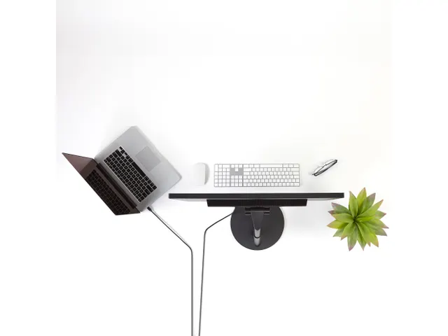 Mini DisplayPort naar DisplayPort Kabel 3m 4K UHD