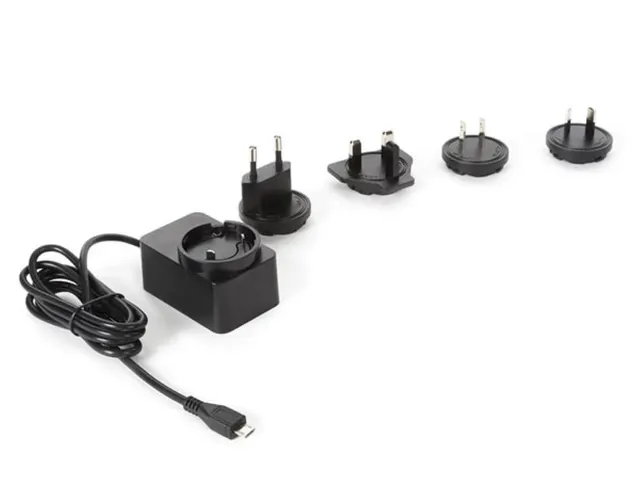 Universele Lader Met Micro-USB-Aansluiting - 5 V - 2.5 A Met 4 Reisste