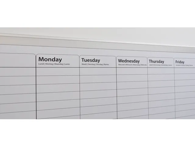 DESQ Whiteboard Weekplanner 60x90cm