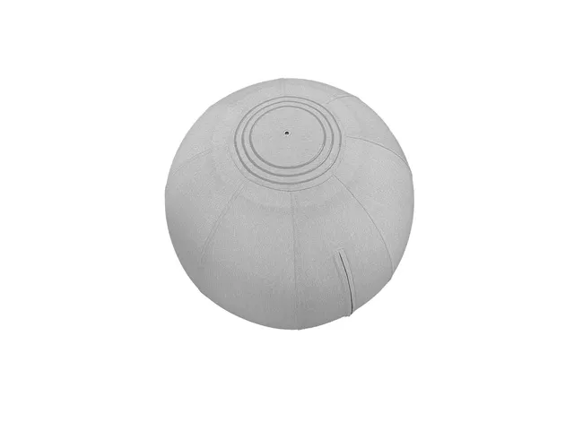 Ergoball ergonomische zitbal grijs Ø 65 cm.