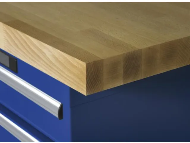 établi,HxlxP 850x1500x800mm,plateau hêtre,force 600kg,laquage RAL501
