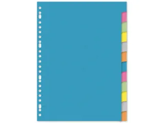 Tabblad Kangaro A4 blanco karton 220gr assorti 23-gaats 12-delig - 1