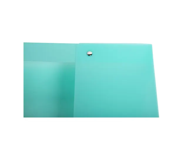 Boite de classement Exabox Dos 25mm Polypropylène 7/10e Chromaline pa