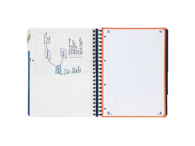 Projectboek Oxford Scribzee A4+ 4r Lijn 120vel Blauw